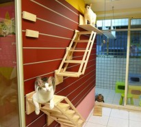 Modulare Katzenkletterwand von Catswall