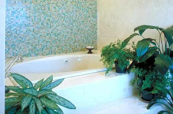 Pflanzen im Badezimmer badewanne blumentopf