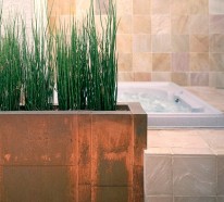 Pflanzen im Badezimmer – die besten Vorschläge für Sie