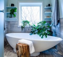 Pflanzen im Badezimmer – die besten Vorschläge für Sie