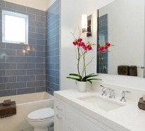 Pflanzen im Badezimmer - die besten Vorschläge für Sie