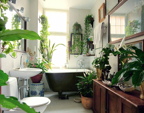 Pflanzen im Badezimmer badewanne spüle spiegel