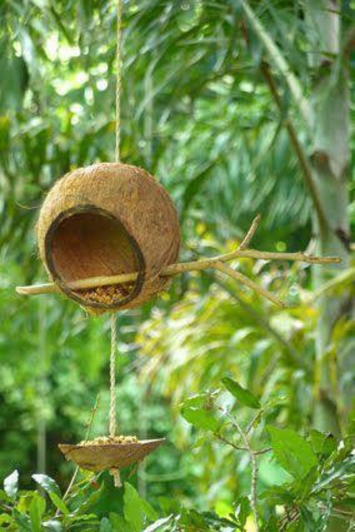vogel futterhaus selber bauen kokosnuss