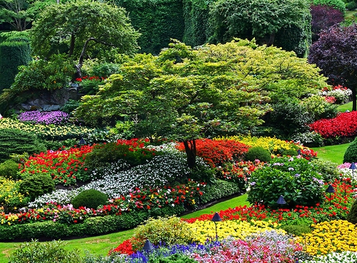 Schöner Garten elegant arrangiert gartengestaltung pflanzen