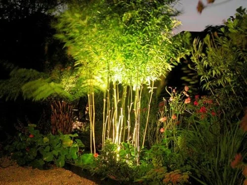 garten außenbeleuchtung tipps ideen pflanzen bambus