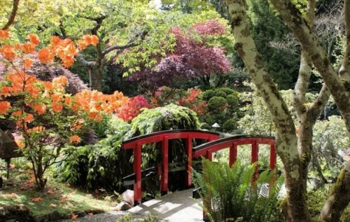 teichbrücke selber bauen rot rhododendren bunt