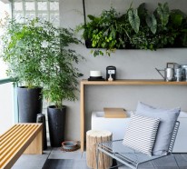 Hängende Zimmerpflanzen und Balkonpflanzen – Hängepflanzen für ein umweltgerechtes Haus