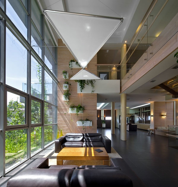Hängende Zimmerpflanzen und Balkonpflanzen modern inneneinrichtung