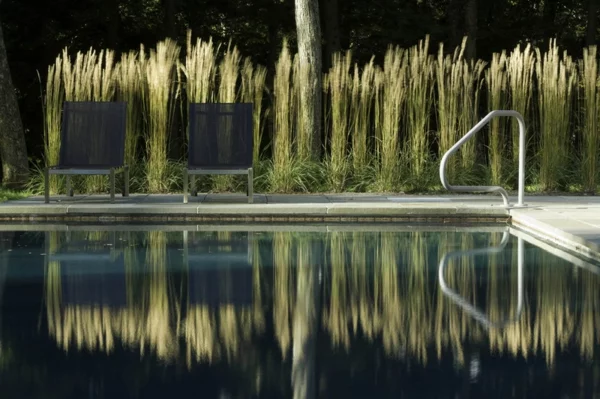 beleuchten pool modern Sichtschutz im Garten ornamentale Gräser