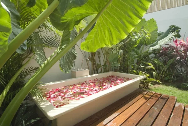 exotisch palmen badewanne rosen romantisch