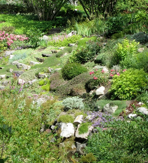 garten anlegen moderne Gartengestaltung Ideen steine pflanzen