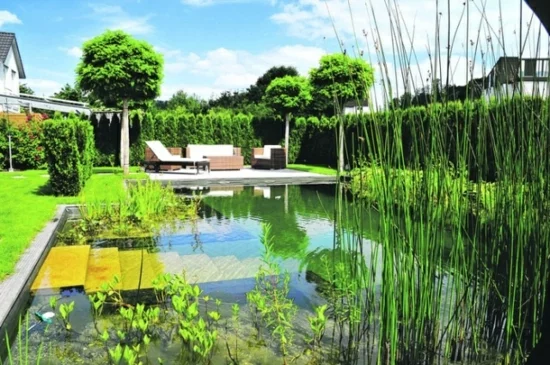 gartengestaltung hof landschaftsbau vorgartengestaltung ideen gartenteich pool wasserpflanzen