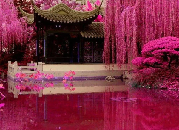 japanischen garten gestalten rosa 