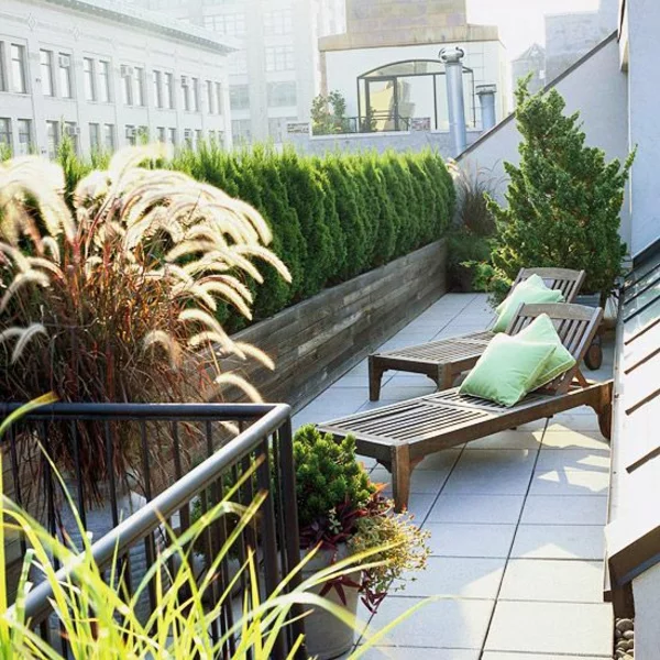 lebendige sichtschutz für terrasse bepflanzung