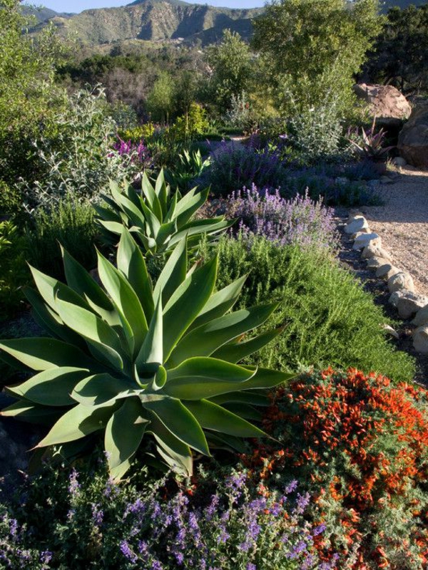 Mediterrane Gartengestaltung gebüsche zitrus pflanzen
