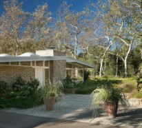 trendy Ideen für Garten und Landschaft - moderne Gartengestaltung