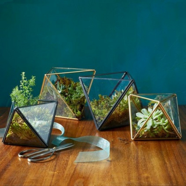 terrarium selber bauen kunstvoll interessant füllen mit sukkulenten