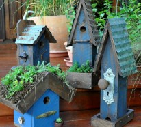 Vogelhaus selber bauen – DIY Bauanleitung und 40 Ideen für Sie
