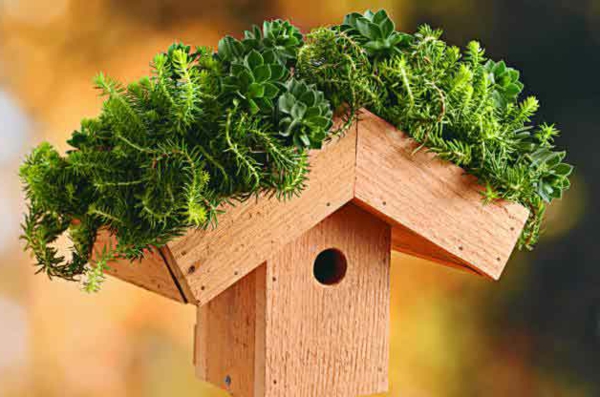 vogelhaus selber bauen holz umweltfreundlich dachgarten