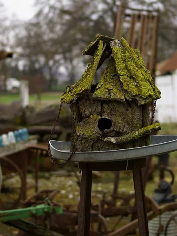 vogelhaus bauen holz umweltfreundlich dunkel