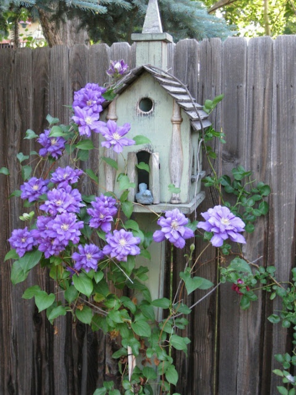 vogelhaus bauen holz umweltfreundlich lila blüten