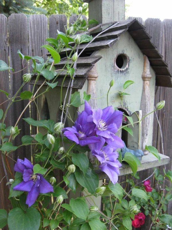 vogelhaus selber bauen holz umweltfreundlich lila