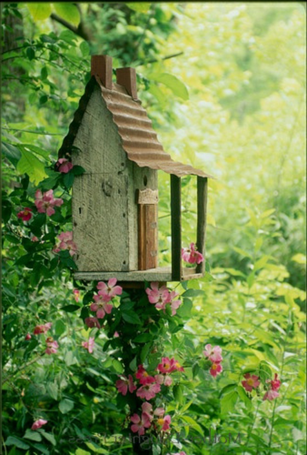 vogelhaus bauen holz umweltfreundlich natur
