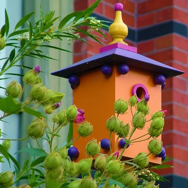 vogelhaus beständig bauen holz umweltfreundlich orange lila