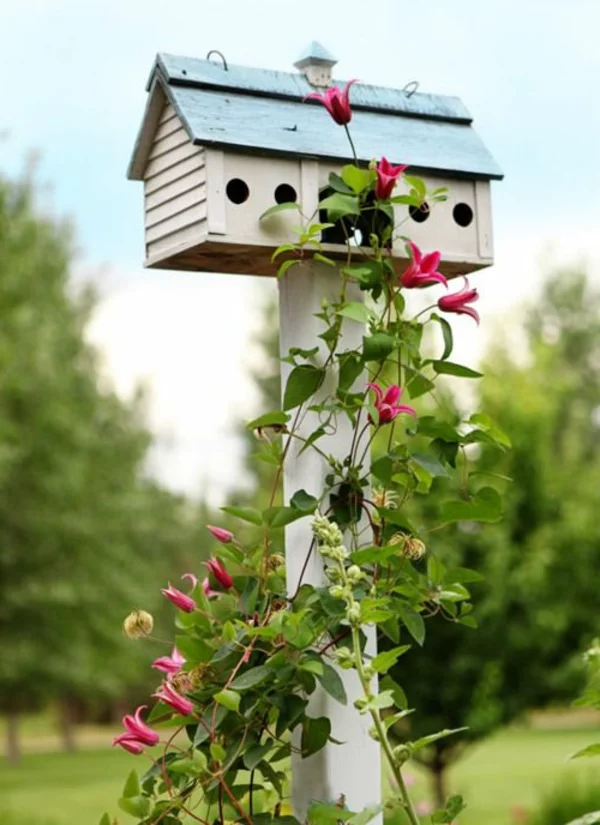  holz umweltfreundlich vogelhaus selber bauen strauch