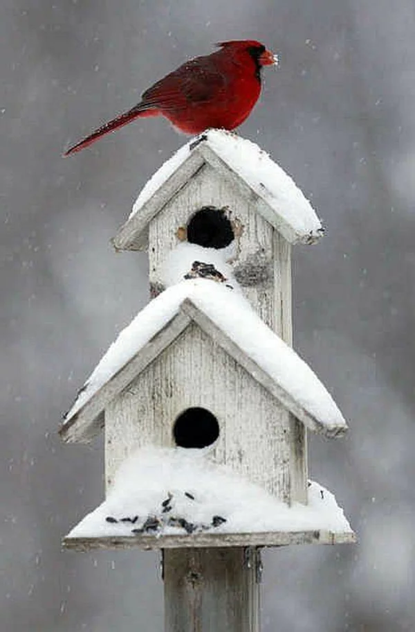 vogelhaus bauen holz umweltfreundlich winter