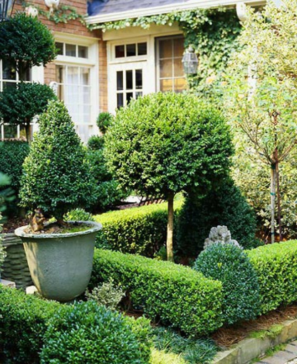 Buchsbaum Pflanzen und Gärten - wundervoll in Terrakotta Behältern