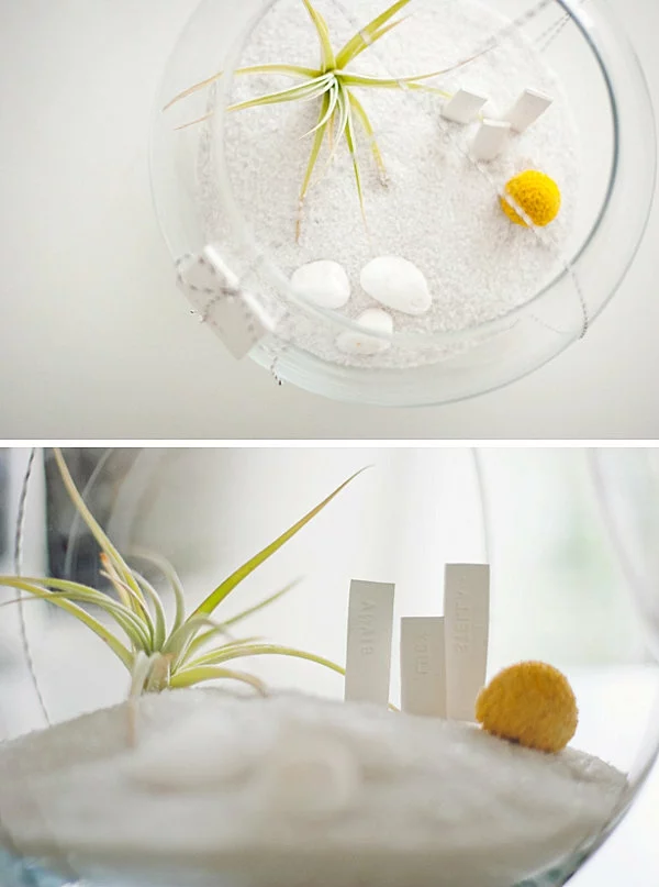 DIY luftpflanzen terrarium idee geschenk