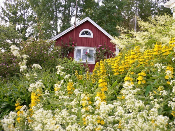Gartenhaus im Schwedenstil pflanzen gelb