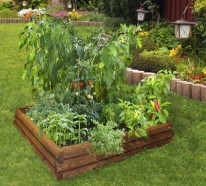 Gemüse und Kräuterhochbeet selber bauen