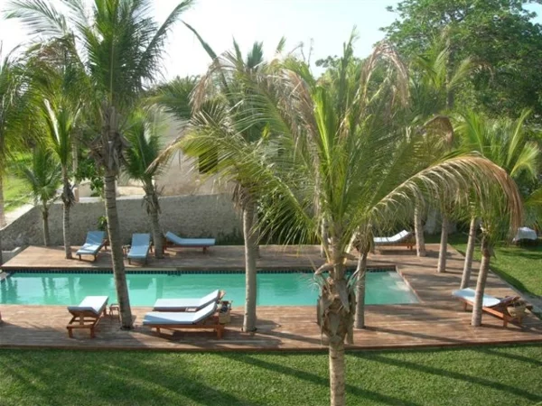  palmen exotisch pool groß schwimmbecken