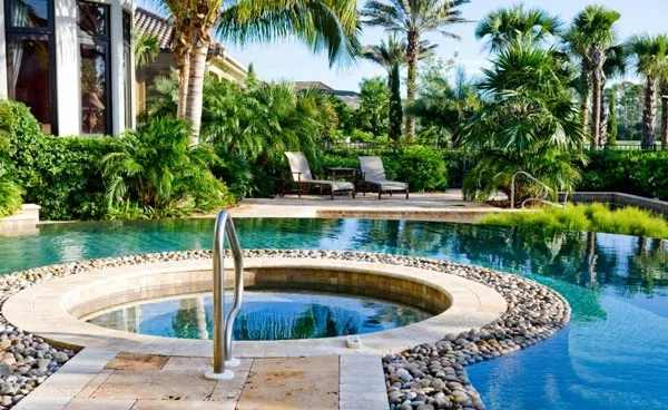 landschaft Swimmingpool im Garten palmen rund flusssteine