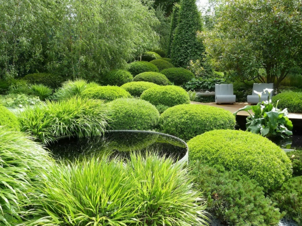 moderne gärten bilder beispiele gartengestaltung  gras
