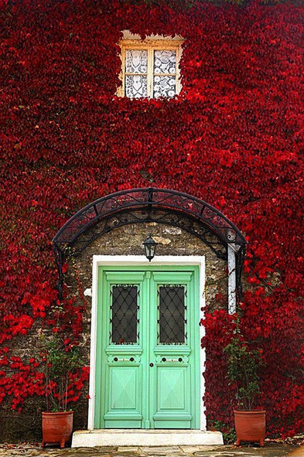moderne haustüren in grün doppeltüren bogen kletterpflanzen rot
