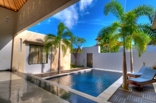 small courtyard pool palmen landschaft
