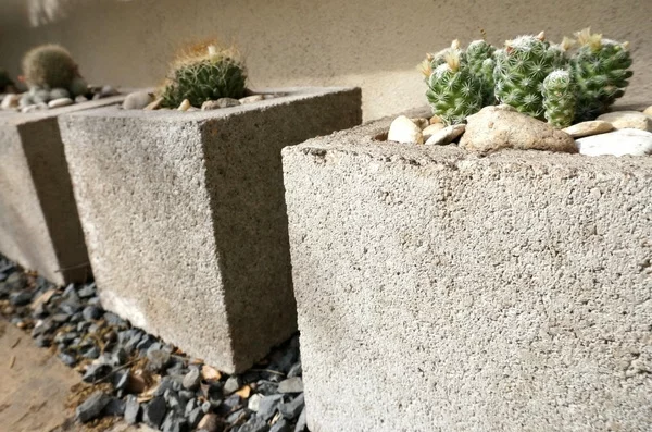 DIY Gitter und Gartenzubehör beton pflanzgefäß