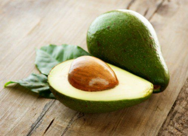 avocado pflanzen gartengestaltung ideen avokado kern