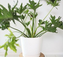 DIY Projekte – Selbstgemachte Pflanzenständer für Ihren Raum