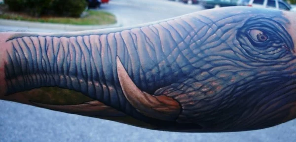 elefant gesicht tattoo unterarm 