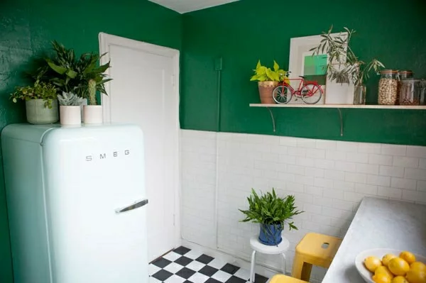 pflegeleichte Schöne Zimmerpflanzen grün wandfarbe