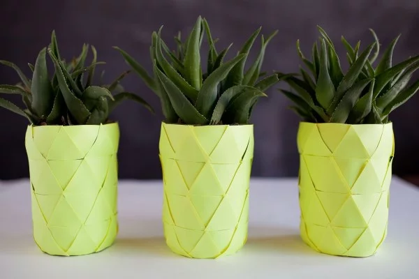 sommerparty deko ananas zimmerpflanzen ideen