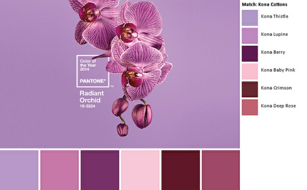 wandfarbe beere trendfarbe pantone farbe radiant orchid lila farbnuancen