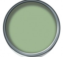 Wandfarbe Olivgrün entspannt die Sinne und kämpft gegen Alltagsstress