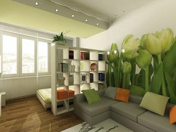 einraumwohnung einrichten in grün regalsystem sofa bett
