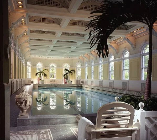 modernes schwimmbecken im innenbereich palmen dekoideen