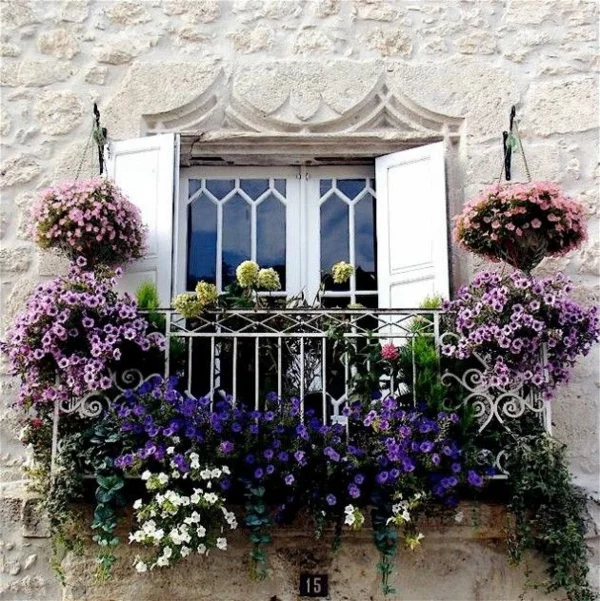Balkonbepflanzung französische stil Ideen lila blüten